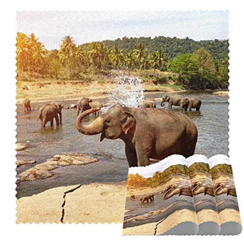 Sets de table résistants à la chaleur éléphant lavables 12x12 pouces - 2