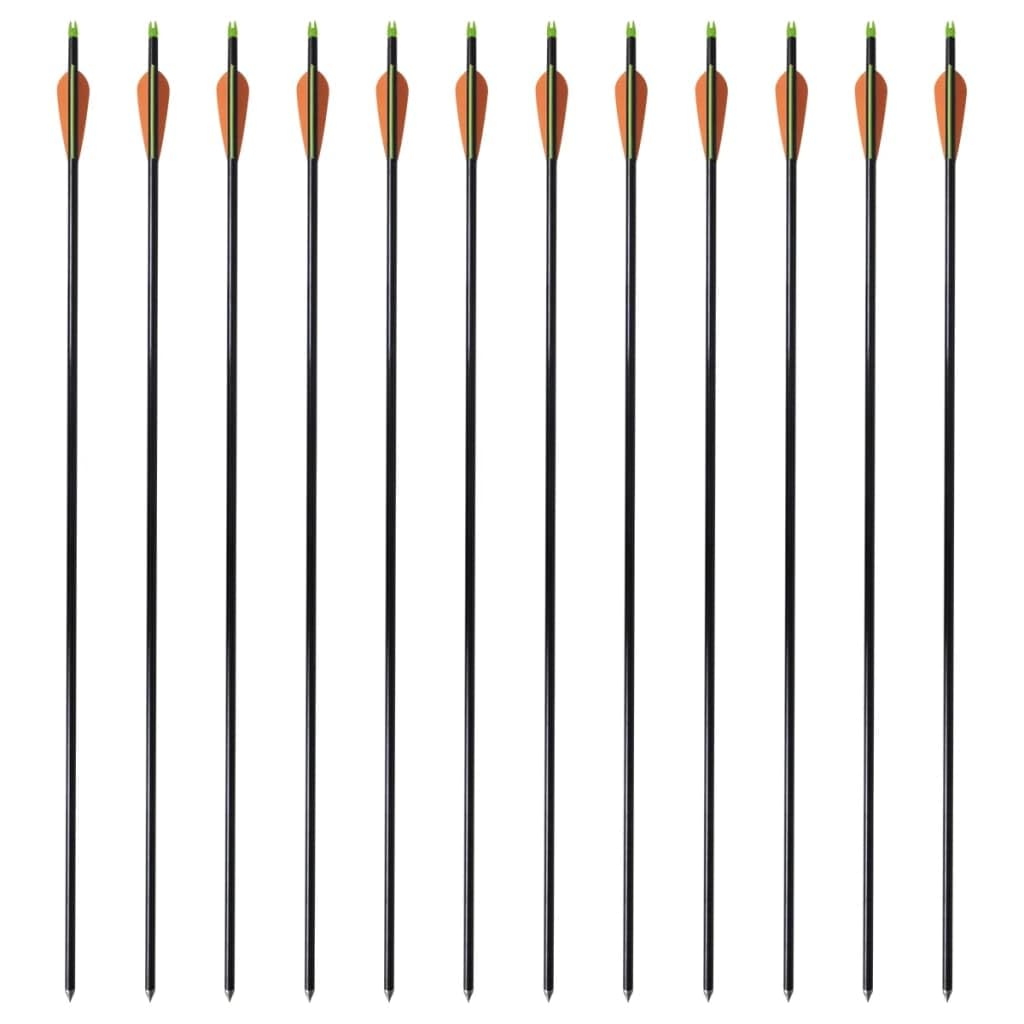 Genérico Frecce per Arco Composito Standard 12 pz 30" 0,8 cm Fibra Vetro,Multicolore,0.6kg,90855