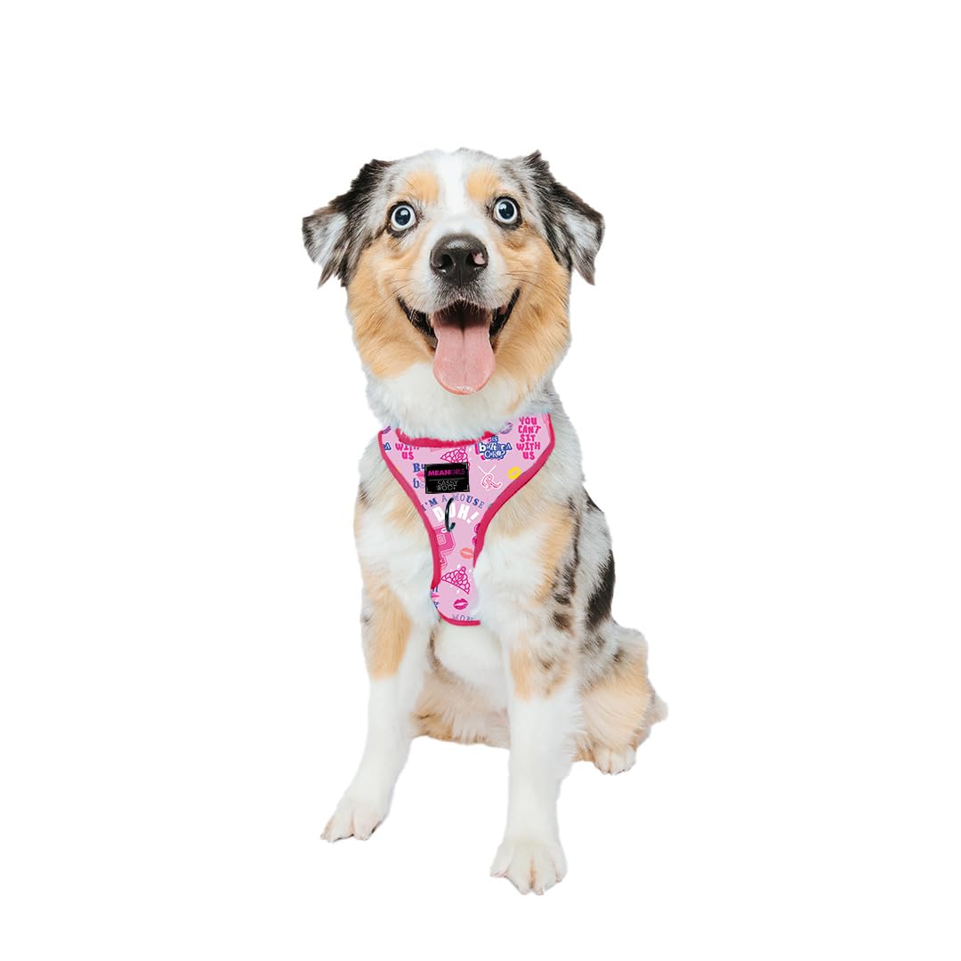 Sassy Woof Dog Adjustable Harness - Mean Girls - M, Breathable Mesh, No Pull Design with Two D-Rings, Patented Design, Perfect for Small Dogs and