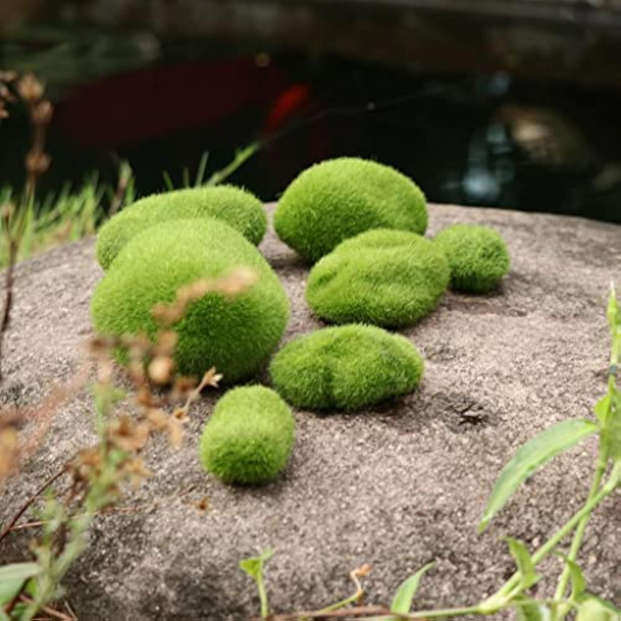 10Pcs Simulation Moss Balls for Garden Decoration