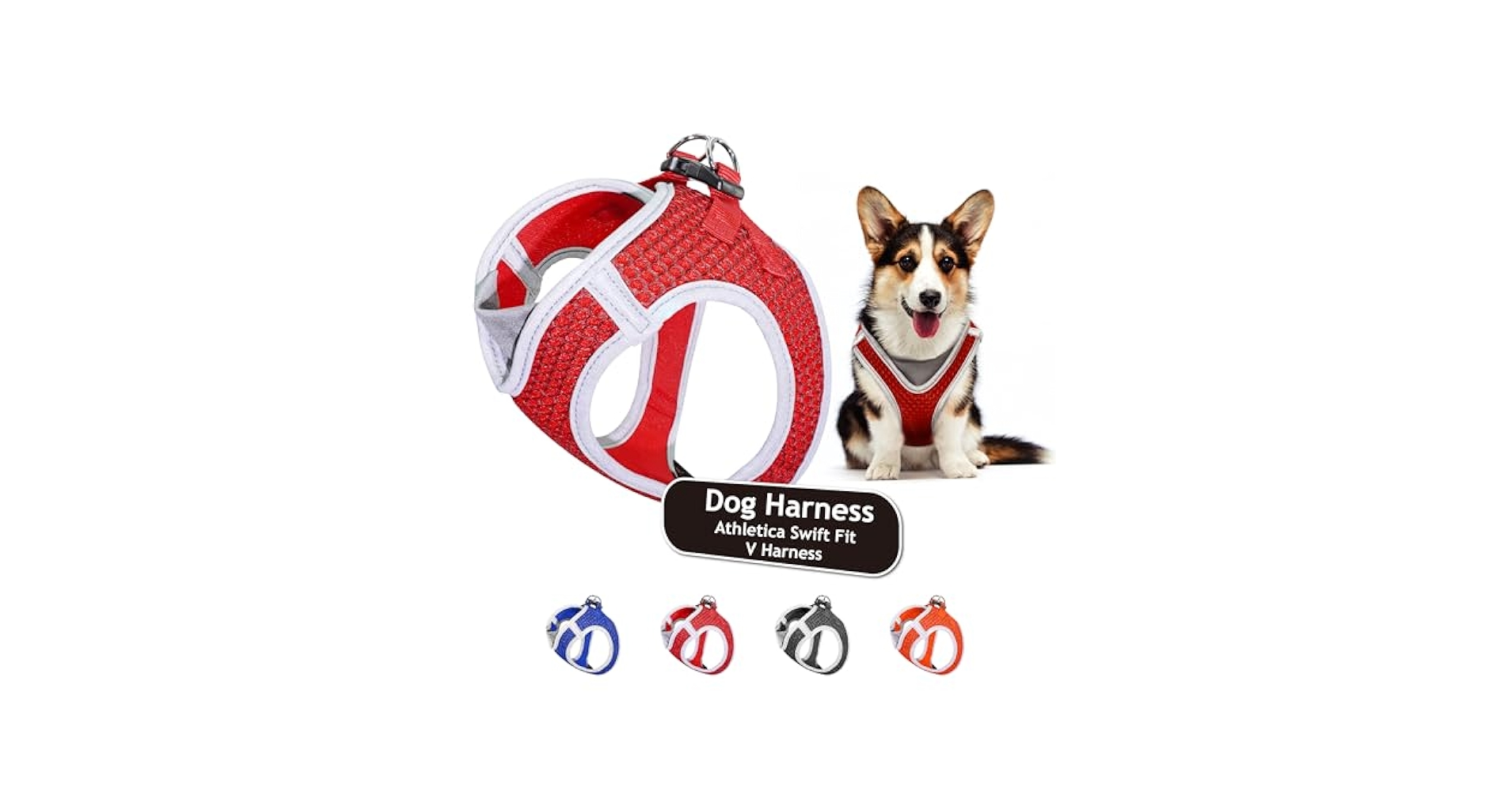 51yKcogQpwL.jpg_BO30,255,255,