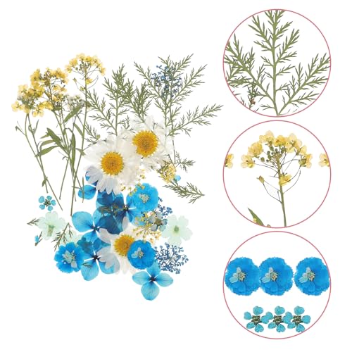 Flores prensadas secas naturales para manualidades DIY azul miniatura 4