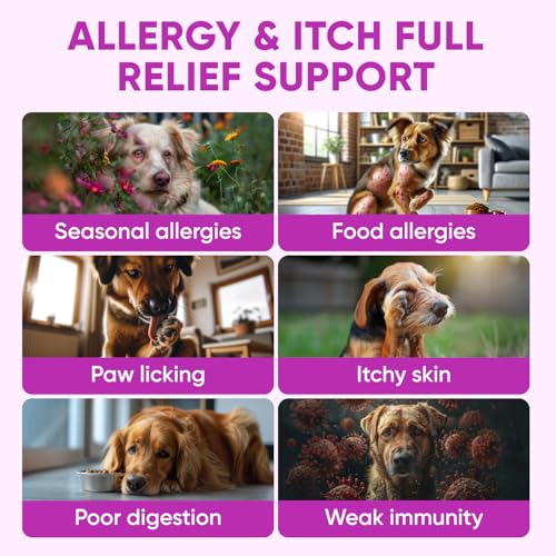 Image of Dog Allergy Relief Chews for Itchy Skin - Seasonal and Food Allergy Chews for Shedding, Licking Paws, Hot Spot, Ears - USA Product - Omega 3 Fish Oil Skin & Coat Supplement - Anti Itch Immune Treats