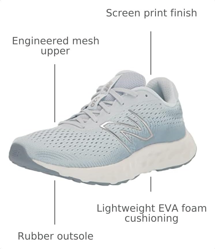 Image of New Balance Women's 520 V8 Shoes