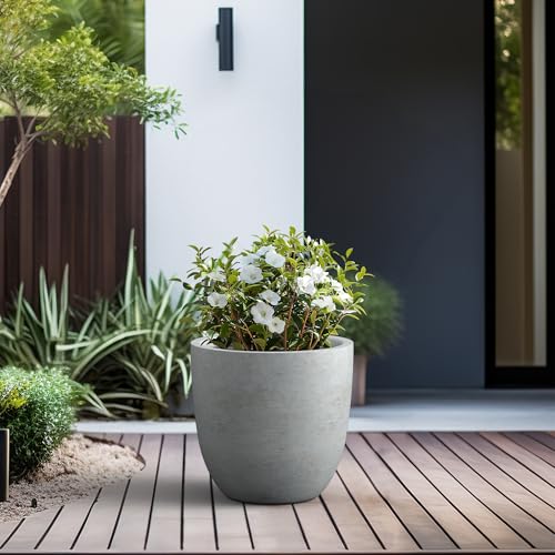 Image of Kante Large Round Bowl Pale Gray Concrete Planter 18 inch Dia, Outdoor
