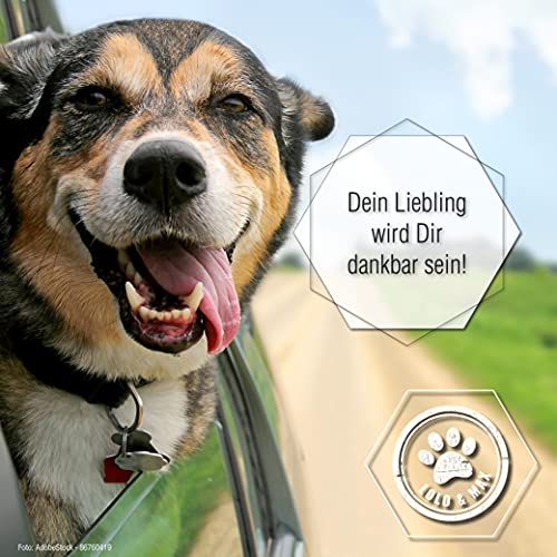 Lolo & Max DentaClean Spray Classic – Zahnreinigungsspray Für Tiere, 130ml - Zahnpflege und Dentalspray Für Hunde & Katzen - Zahnsteinentferner - 100% natürlich