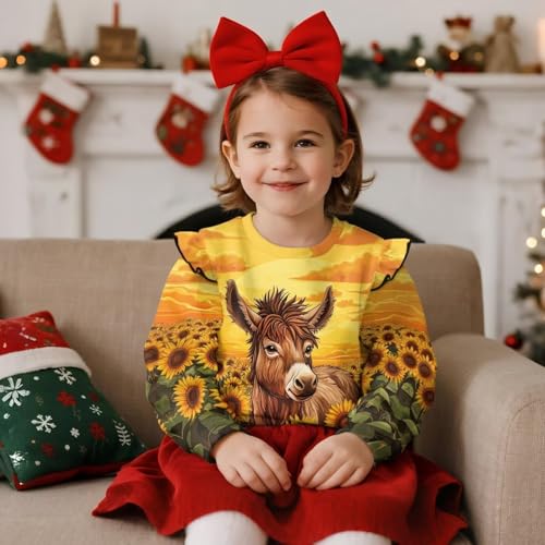 Spring Clothes for Girls with Shoulder Ruffles Dressy Pullover for Picnics2