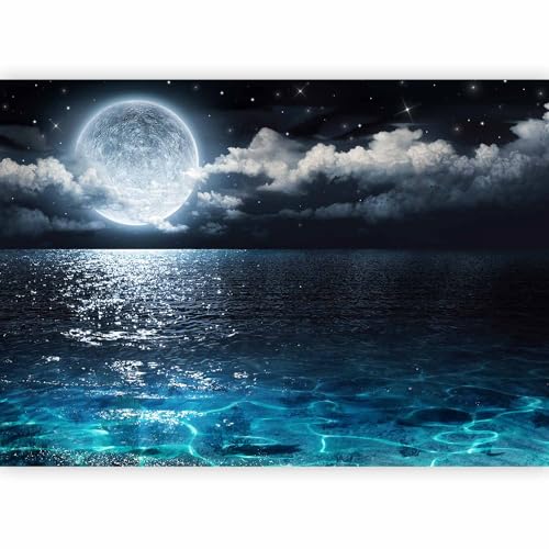 murando Fotomurales 350x256 cm XXL Papel pintado tejido no tejido Decoración de Pared decorativos Murales moderna de Diseno Fotográfico paisaje naturaleza c-B-0083-a-a