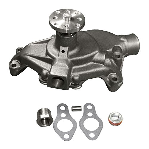 ACDelco 252-581 Professional Water Pump Kit