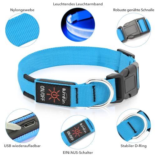 Illumifun Leuchthalsband Hund Aufladbar LED Hundehalsband Wasserdichtes Leuchthalsband für kleine und große Hunde, Hundelichter für nächtliche Spaziergänge (Blau, M)
