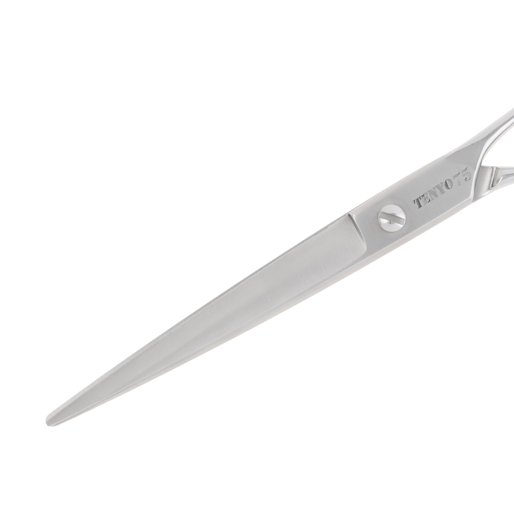 【新品】天洋シザー ストレート6.5inch【送料無料】 61GUymCSuML.jpg_BO30,255,255,