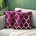 Fundas de Almohada de Terciopelo Púrpura Paquete de 2 Fundas de Cojín de 45cmx45cm Fundas de Almohada Decorativas Cuadradas para El Sofá del Dormitorio Cojines del Sofá Sala de Estar