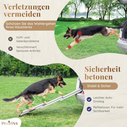 Hunderampe Auto Klappbar- Teleskop Alu Rampe für große Hunde - Stabile Hundetreppe Auto & SUV - rutschfest - Reflektierende Seiten - Hundeleiter Auto - 90kg Belastbarkeit - Befestigungsclip - Grau