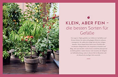 Mein City-Obstgarten: Fruchtiges Naschvergnügen für Balkon & Terrasse (GU Garten Extra) - 8