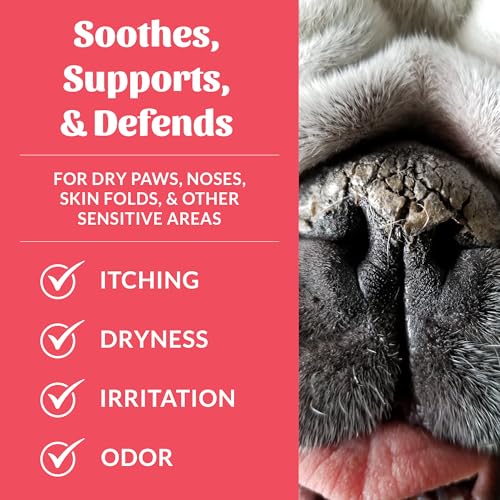Image of SKOUT'S HONOR Prebiotic Pet Balm - 100% Natural and Made w /Manuka Honey to Promote Healing of Your pet's paw Pads and Nose, Soothes Dry, Itchy Paws and Noses - Safe for Cats and Dogs, 2oz, 2-Pack