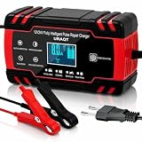 URAQT Caricabatterie Auto 8A 12V/24V,Mantenitore Batteria Moto Intelligente