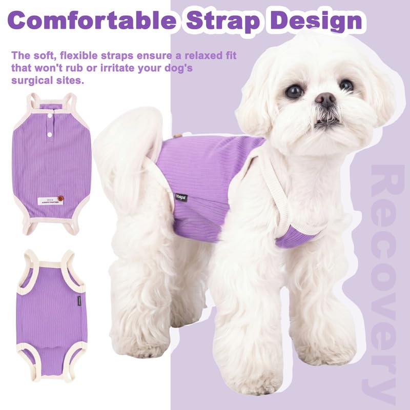 Image of Dog Recovery Suit Dogs Onesie for Surgery Protective Post-Surgery Suit Female for Small Dogs & Puppy Purple Size L