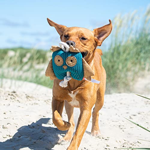 Minifeet Hundespielzeug Monster - Das spielerische Geschenk für aktive Hunde und ihre Herrchen oder solche die es werden wollen
