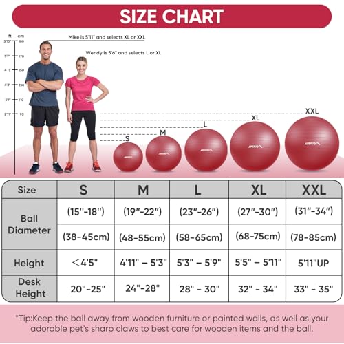 Image of APEXUP Yoga Ball, 660 lbs Anti-Burst Exercise Ball with Pump, 5 Sizes