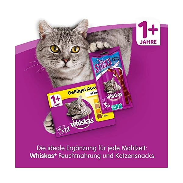 Whiskas Katzenfutter Trockenfutter, verschiedene Sorten und Größen – Bild 8