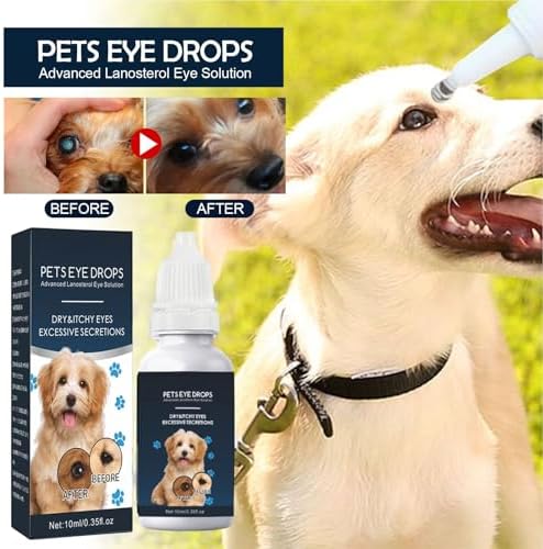 Generisch Augentropfen Für Hunde Mit Juckreizlinderndem Effekt | Juckreizlindernde Tropfen Bei Gereizten Augen Für Hunde