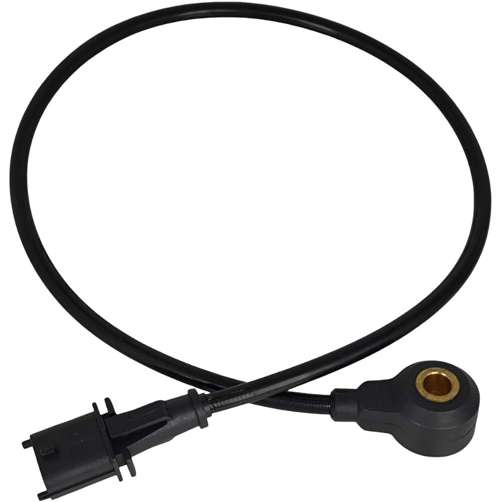 Amazon.com: XYZIL Noise Knock Sensor 420664031 270000484
