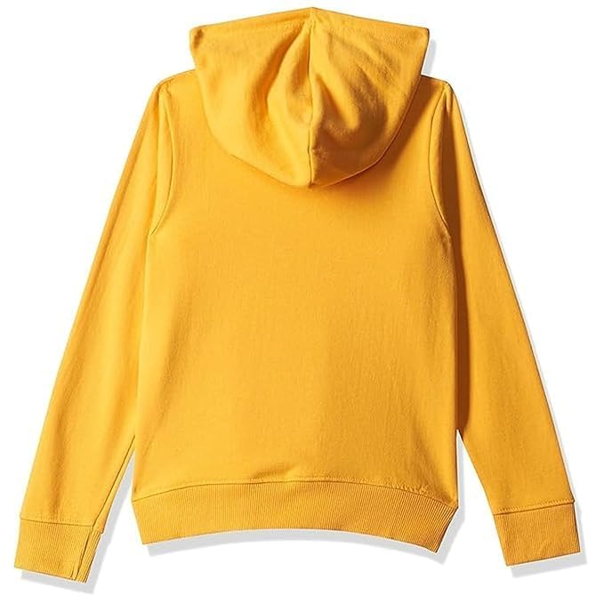 Image of Boys Hooded Sweatshirt