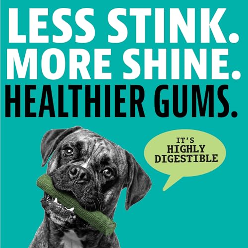 Image of Dinovite Dental Chews for Dogs, Triple Action Dental Dog Treats for Large Breeds, Clinically Proven to Prevent Plaque & Tartar While Freshening Breath, Fresh Mint Flavor, Made in USA, 16 Count