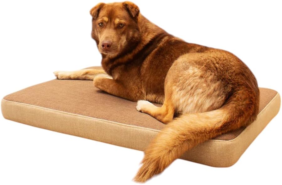 Cama Perro - Cama Perro Grande - Extra Grande- Viscoelástica - Or...