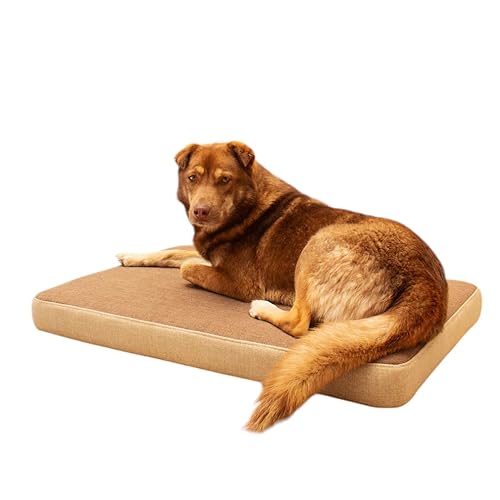 Maxtin -Cama Perro - Cama Perro Grande - Extra Grande- Viscoelástica y Ortodpedica - Lavable, Hidrofuga y Desenfundable. (Marrón, 110x75x10 cm)