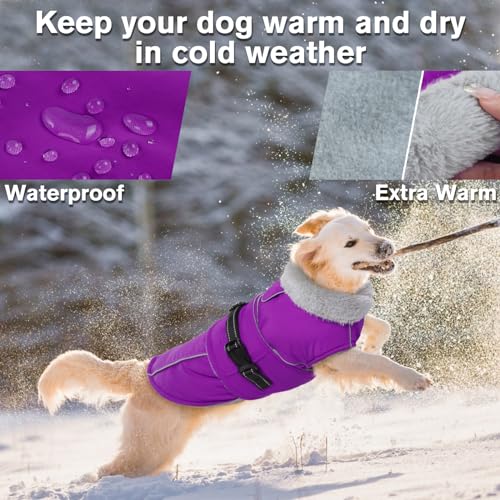 Image of Lelepet Dog Winter Coats for Medium Dogs Dog Jacket with Adjustable Buckle