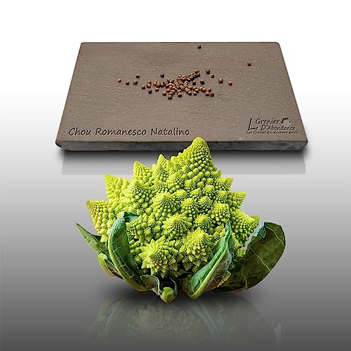 50 graines à semer - Le Grenier d'Abondance - CHOU Romanesco Natalino - Brassica oleracea