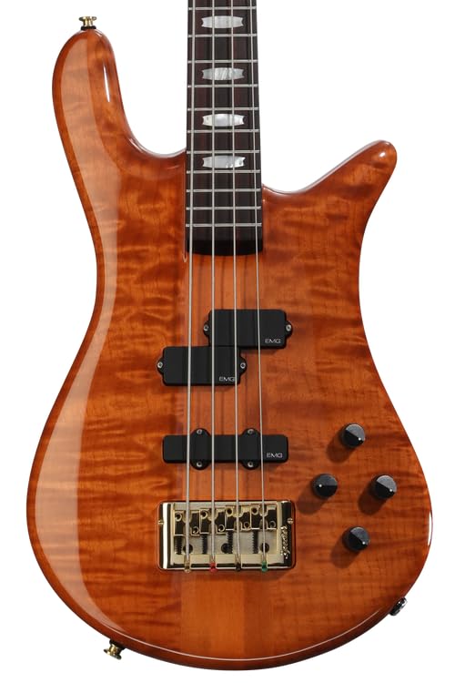 Spector Doug Wimbish