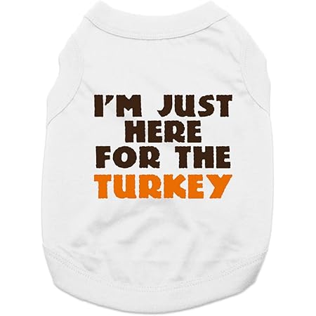 baxterboo dog clothes