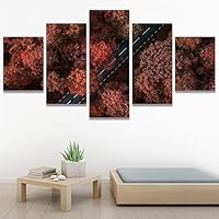 SIGNWIN 5 Panel Canvas Wall Art Modern Art Aerial Expressive Global Landscape Mountain Multicolor Photography for Home Decorations Ready to Hang - 60