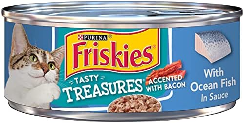 aquarium starter kit