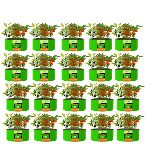 Image of Kingwell Grow Bag For Terrace Garden Leafy Vegetable Plant Grow Bags Fruits Growing Containers For terrece Gardening (18 X 12 INCH, PACK OF 20)