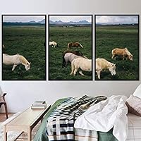 3 Piece Framed Canvas Wall Art Horsing Around Animals Farmhouse/Country Fun Horse Living Room - 16