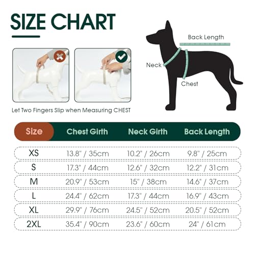 Kuoser Hundebody Nach Op, Hundebody Nach Kastration, Op Body Hund Kastration Hündin, Hundebody Mit Beinen, Body Für Hunde Nach Op,Hundepyjama für Kleine Mittelgroße Hunde Grün L