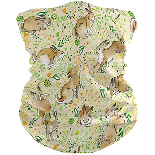 Best Load And Choke For Rabbit Reviews and Buying Guide 2022 BNB