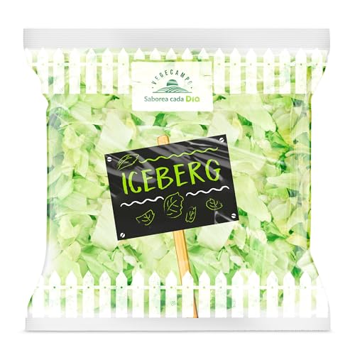 DIA VEGECAMPO lechuga Iceberg lavada bolsa 250 gr