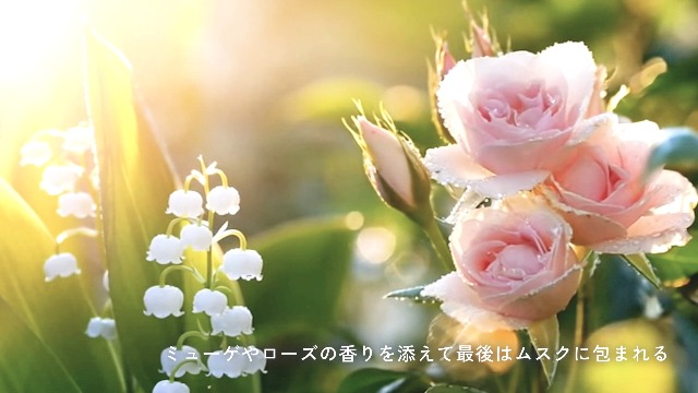 Amazon | fulume 香水 シトラス 柑橘系 シトラスムスク Citrus Burst