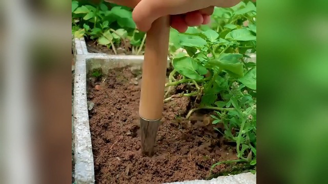 Plant Hole Digger para plantar, herramienta manual para jardín miniatura 7