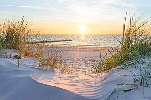 Preisvergleich Produktbild Puzzle 1000 Teile Rätsel Für Erwachsene, Kinder, Jugendliche-Strand Am Meer