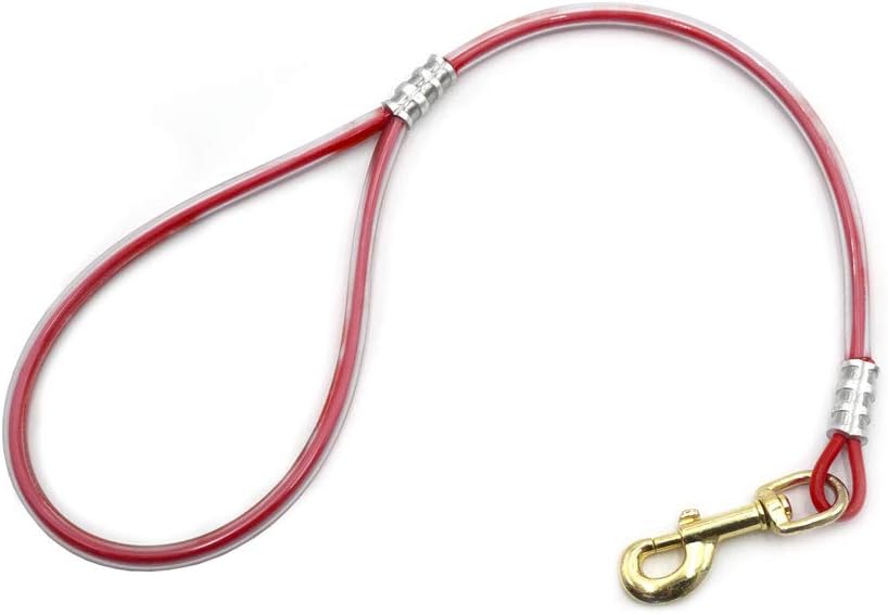 2ft Cable Bully Training Dog Lead Leash (Black)