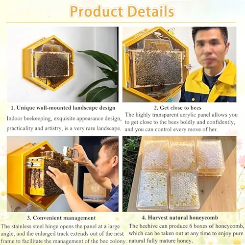 Bienenstock für den Innenbereich mit Sichtfenster Honig Sammelbox für Hobby Imker und Bienenkolonien Ernte