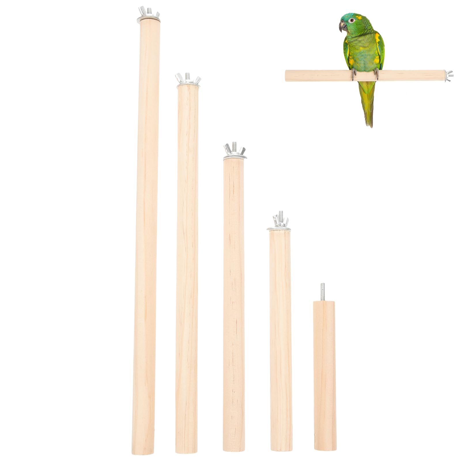 Angoily Natural Wood Bird Perch Stand Set, Parakeet Perches, 5Pcs 4, 6, 8, 10, 11 Inch Parrot Stand Rods for Cockatiels Conures, Paw Grinding Stick with Metal Wing Nuts, Bird Cage Accessories