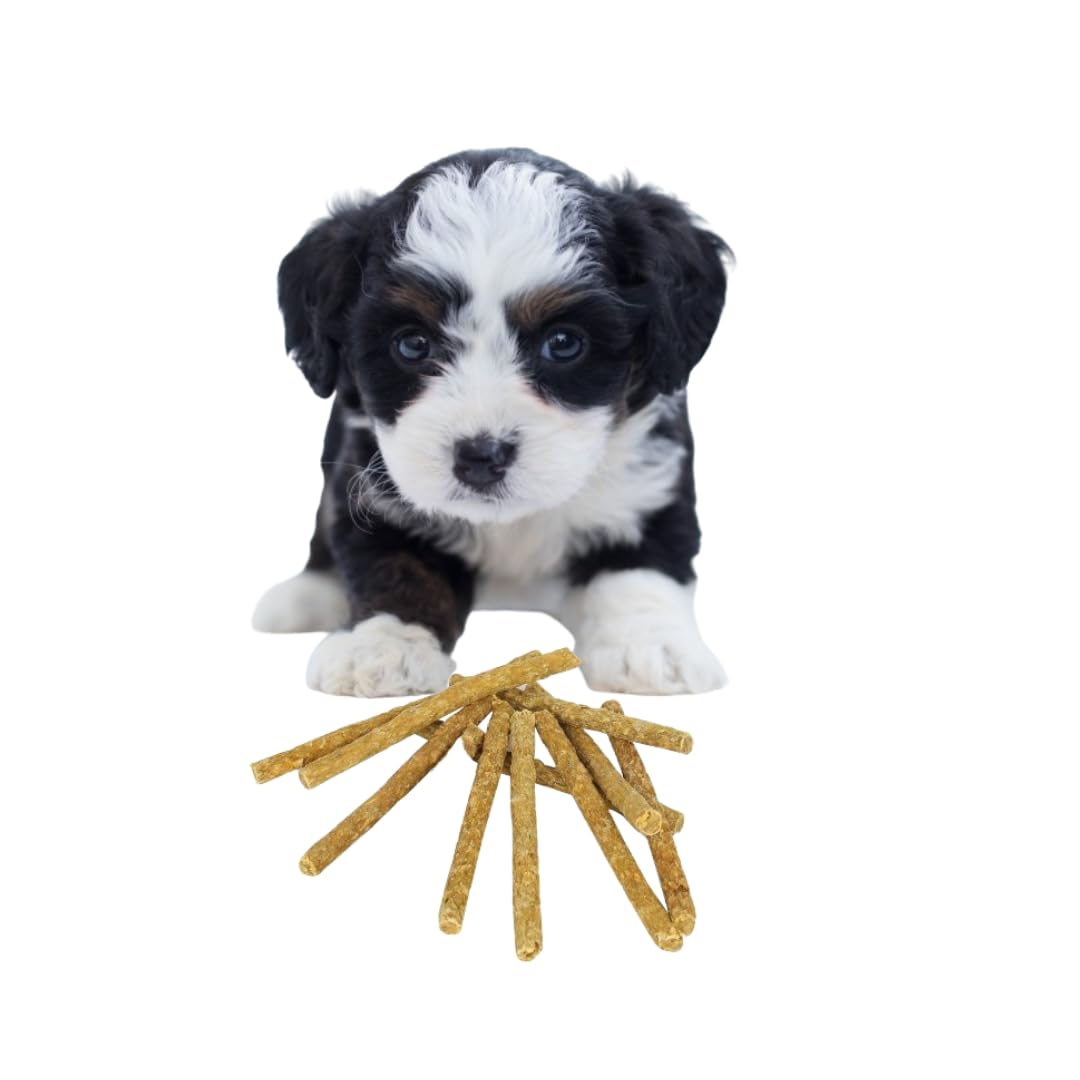 See full amazon price history chart for POLKA Combo of 10 Chicken Wood Dog Toys for Puppies | Caffeine Free, Dog Chew Toys | Splinter Free, Dogs Chewing Sticks | Puppy Toy Set for Small Dog Chewers | Doggy Teething & Training Stick POLKA Combo of 10 Chicken Wood Dog Toys for Puppies | Caffeine Free, Dog Chew Toys | Splinter Free, Dogs Chewing Sticks | Puppy Toy Set for Small Dog Chewers | Doggy Teething & Training Stick (B0CKMYJLL5) Amazon Price History, Amazon Price Tracker