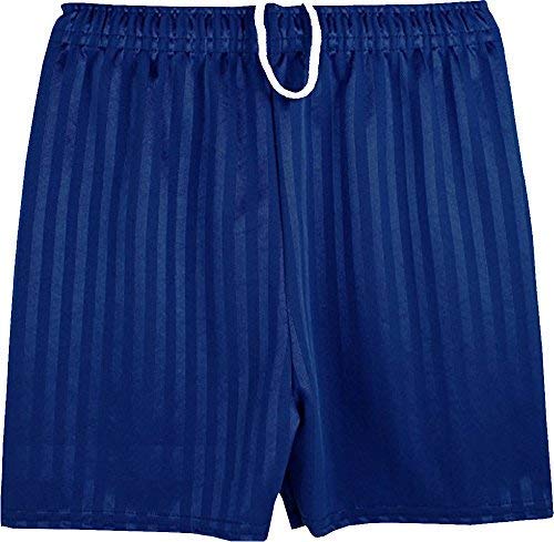 Shadow Stripe Pe Shorts Navy Blue 15-16 Years