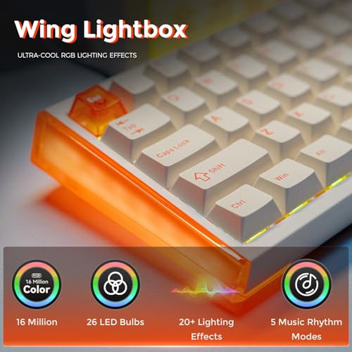 Image of DAREU COOL68 65% Hall Effect Magnetic Switch Gaming Keyboard with 8000Hz Polling Rate,Rapid Trigger,Adjustable Actuation,0.1ms Latency,SOCD,Gasket Mount,PBT keaycaps,Hot swappable,RGB Light